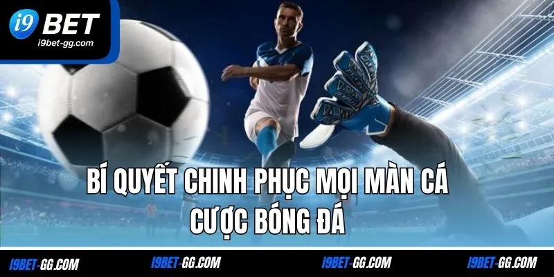 Bí quyết chinh phục mọi màn cá cược bóng đá