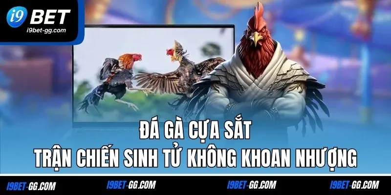 Đá Gà Cựa Sắt - Trận Chiến Sinh Tử Không Khoan Nhượng