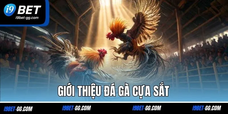 Giới thiệu đá gà cựa sắt